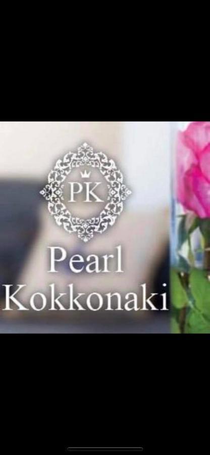Ferienwohnung Pearl Kokkonaki Kokkónion Exterior foto